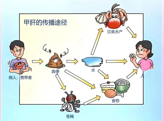 博鱼·综合体育(中国)官方网站入口《繁花》里的宝总住进了仁济医院竟是因为TA(图3)