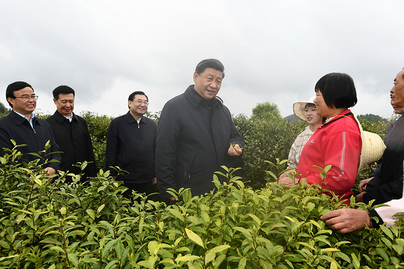 博鱼·综合体育(中国)官方网站入口保护生态环境牢记习提出的“五个追求”(图6)