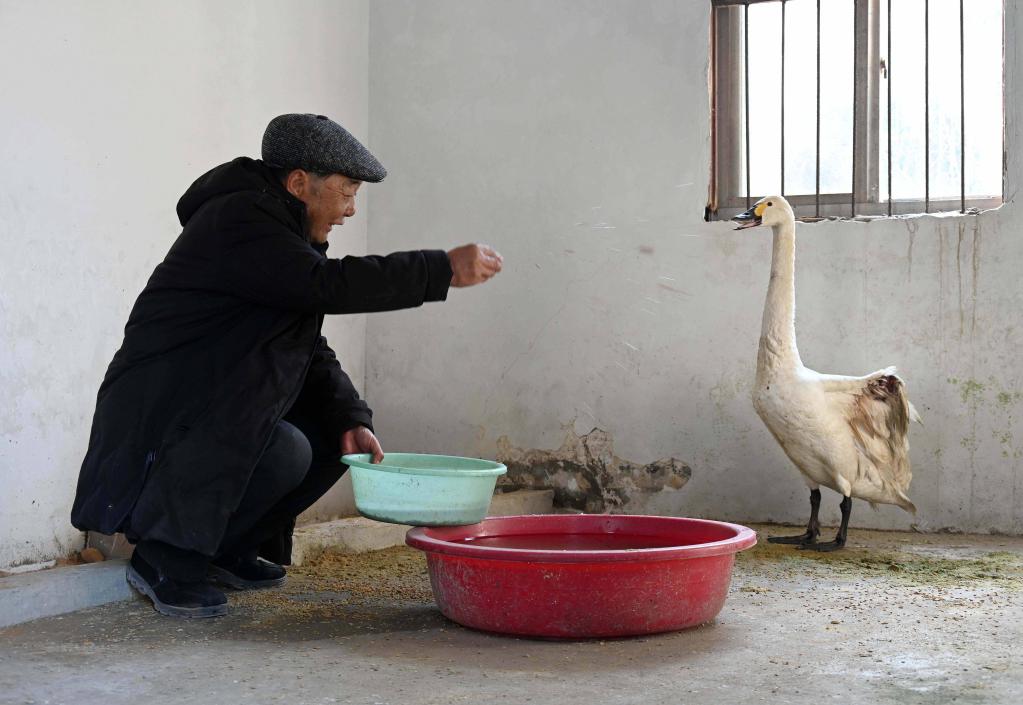 博鱼·综合体育(中国)官方网站入口六五环境日汇聚绿色发展的点滴微光——2022年(图3)