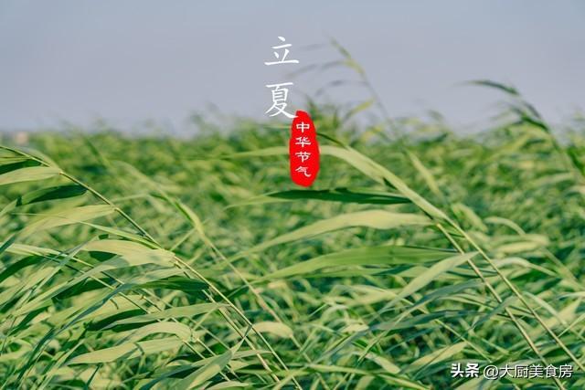 博鱼·综合体育(中国)官方网站入口今日立夏天晴刮风下雨有啥说法？今年夏天是涝还是(图2)