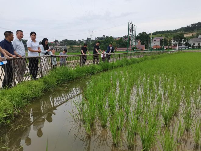 博鱼综合体育走出杨凌看示范 水产博士“鲟”富路(图6)