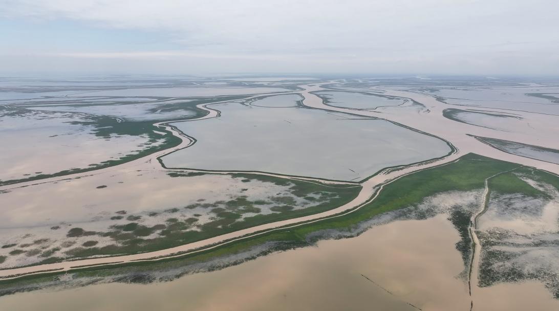 博鱼·综合体育(中国)官方网站入口江西省鄱阳湖保护修复不力 生态环境问题多发(图2)