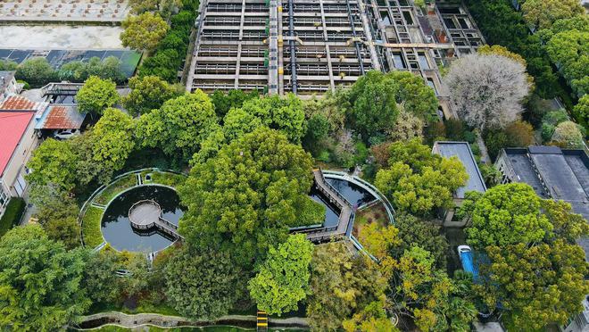 博鱼综合体育污水变清水需要几道工序？“世界水日”前杨浦这家近百岁的污水处理厂为“