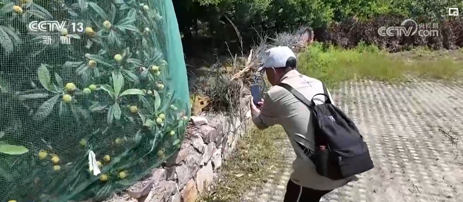 博鱼综合体育雪豹、鹭鸟、蝴蝶……万物和谐！生态空间面积不少、功能不降、性质不变(图4)