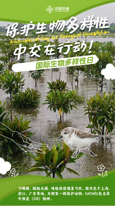 博鱼·综合体育(中国)官方网站入口保护生物多样性中交集团在行动(图9)