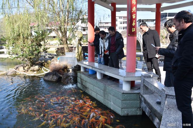 博鱼综合体育室外鱼池最简单有效的过滤方法(图2)