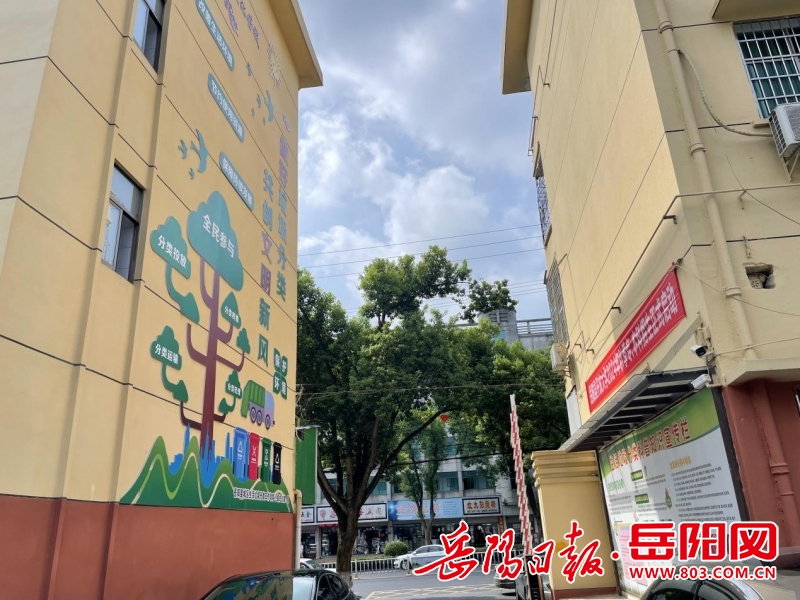 博鱼综合体育岳阳县：实现垃圾分类链条闭环管理引领环保“新时尚”(图5)